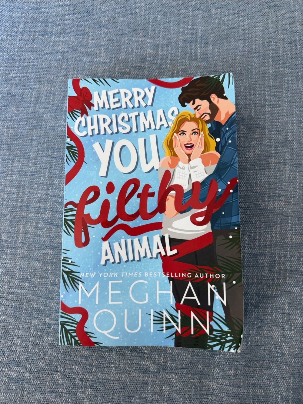 Merry Christmas You Filthy Animal by Meghan Quinn - Blue & Red Romance Book